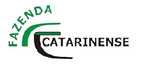 CatarinenseR-removebg-preview